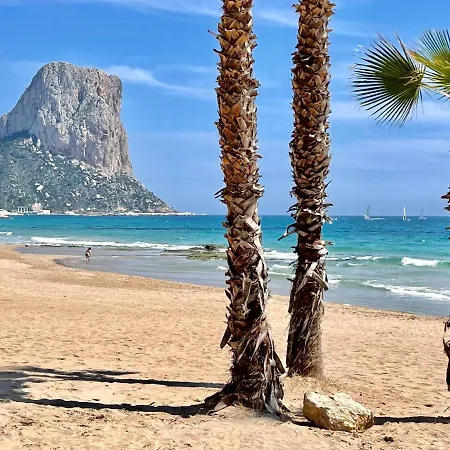 Colibri Comodo, Bonito, Centrico Κάλπε